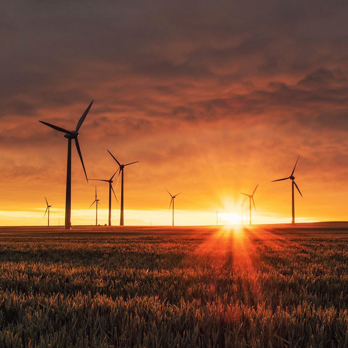 Climate innovation needs more than bank and venture funding