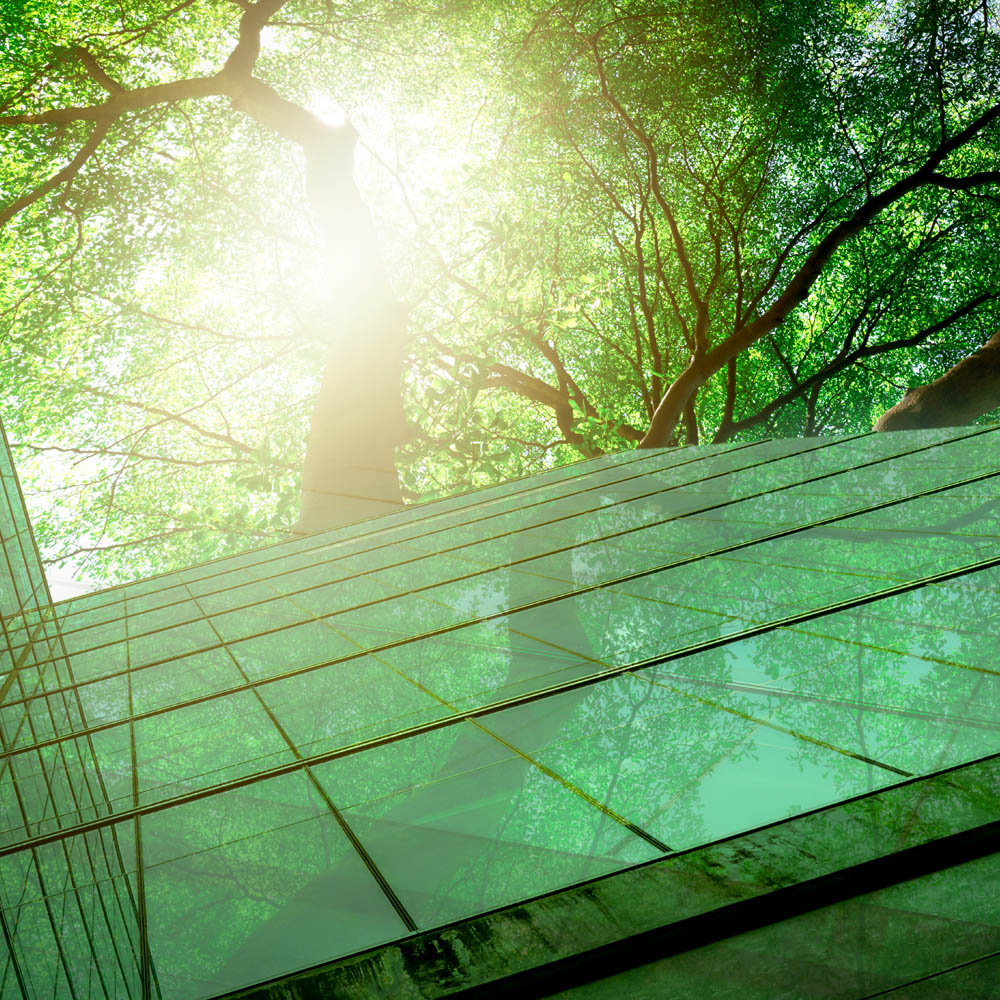 COP26 puts portfolio transition at the top of the agenda